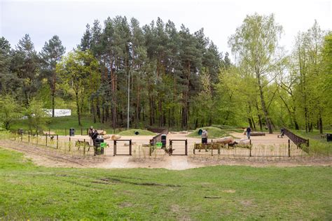 savanoriai šunų vedžiojimo metu
