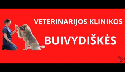 Veterinarijos klinikos diagnostinė įranga