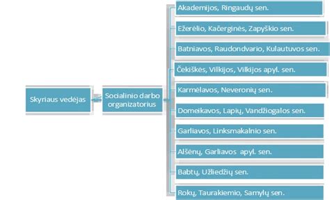 socialinės pagalbos paslaugų struktūra