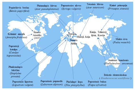 Juodojo strazdo paplitimo žemėlapis Europoje