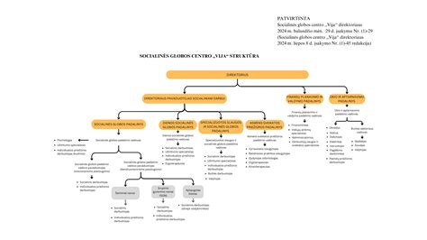 Informacinė schema apie socialinės globos gavimo etapus