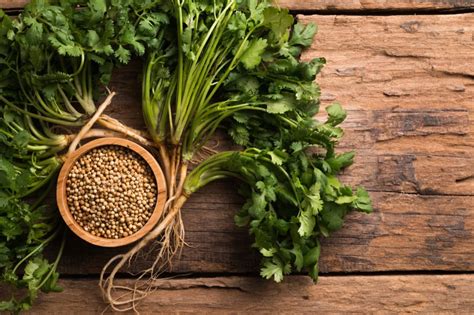 Martynas Kalendra su tėčiu