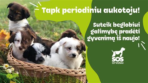 Saugus gyvūnų būstas šaltuoju periodu