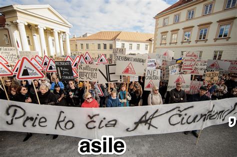anatominė iliustracija apie nėštumo vystymąsi