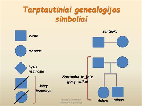 genealoginio medžio schema