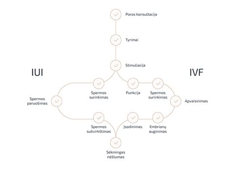 Schematinis dirbtinio apvaisinimo (IVF) procesas