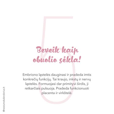 vaisiaus raida 4 nėštumo mėnesį