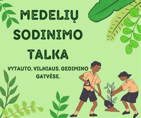Medelio sodinimo po placenta ritualas