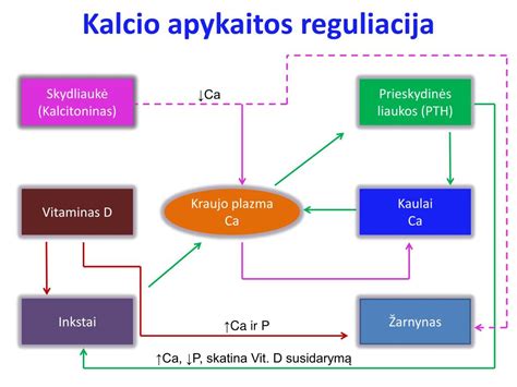 Produktų, turinčių daug kalcio ir vitamino D, pavyzdžiai