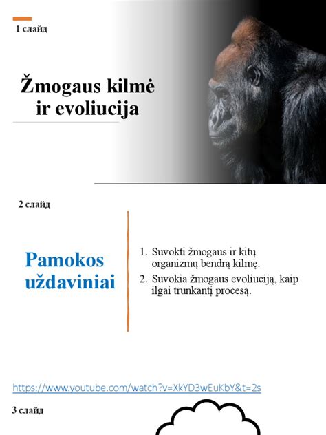 infografika: varliagyvių evoliucija ir dauginimosi būdų įvairovė