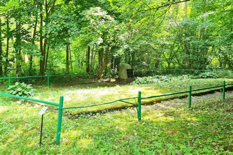 Broniaus Radzevičiaus atminimo vieta Vyžuonose