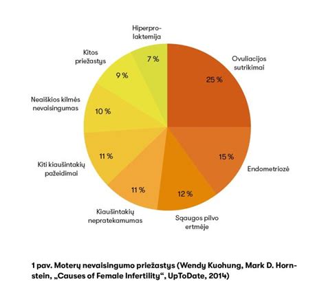 Nevaisingumo priežastys (infografika)