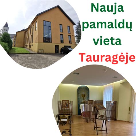 Apleista kiaulidė, kuri tapo nauja prieglaudos vieta