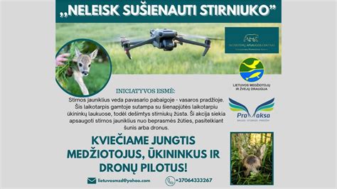 Jauno stirniuko gimimas miške