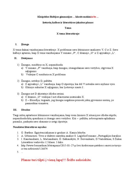 WISC testavimo pavyzdys