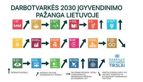 iliustracija vaizduojanti vaisiaus vystymosi etapus ir judesius