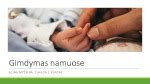 Gimdymas namuose: jauki aplinka