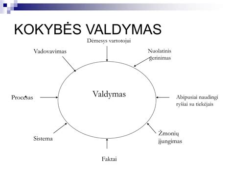 kokybės valdymo koncepcija globos centre