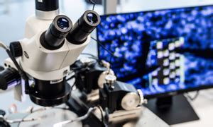 Simuliacinė laboratorija akušerijoje