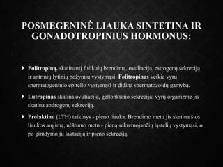 Estrogenų lygio svyravimai po gimdymo ir jų įtaka makšties gleivinei