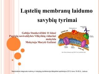 Membranų atskyrimo procedūros iliustracija
