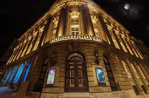 Šiuolaikiška palata gimdyvėms