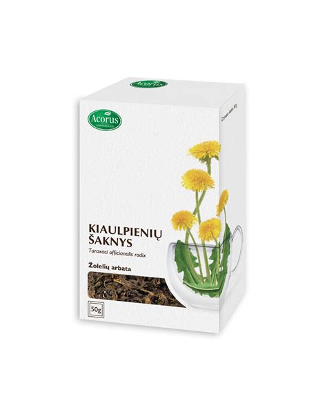 kiaulpienių šaknų ir lapų iliustracija