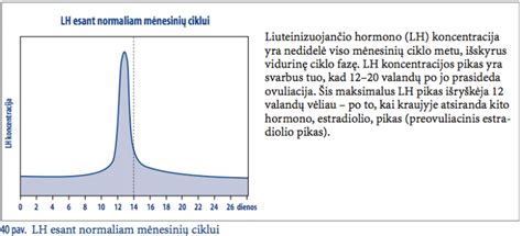 LH hormono lygio kitimas ovuliacijos metu