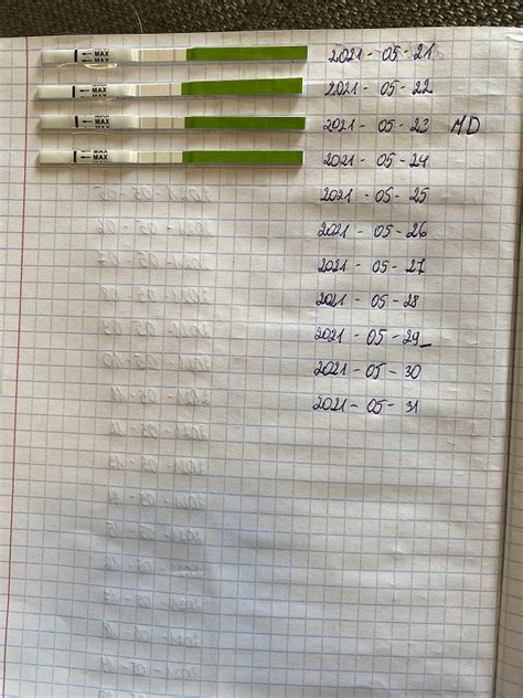 Ovuliacijos testo rezultatų interpretavimo pavyzdys