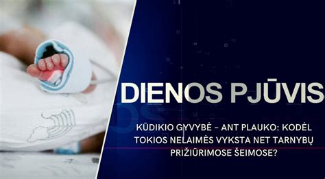 Kūdikio dienos bioritmai