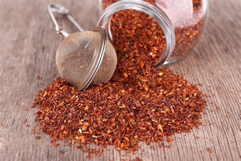 Rooibos arbatos augalas