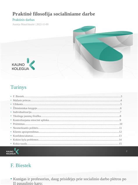 Holistinio požiūrio diagrama socialiniame darbe