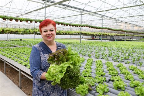 Įvairios lengvai auginamos daržovės