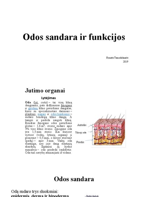 Kūdikių odos sandara ir jautrumas