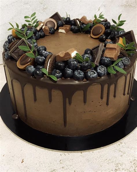 Šunų gimtadienio tortas