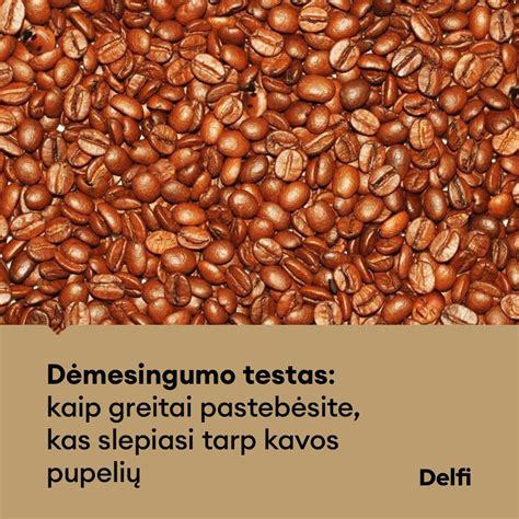 kūdikio veidas šaltyje