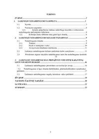 Įvaikinimo proceso schema ir jo teisinės pasekmės