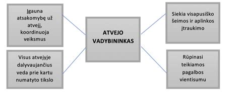 schema atvejo vadybos procesas