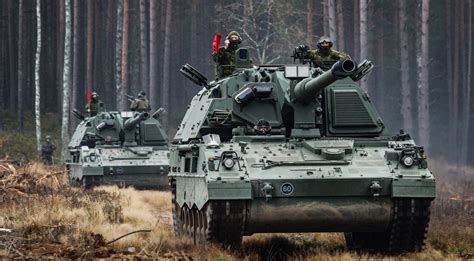 Vaisiaus judesių diagramos, reaguojant į aplinkos dirgiklius