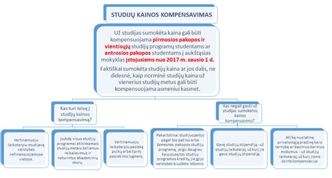 Socialinės globos finansavimas ir mokėjimo schema
