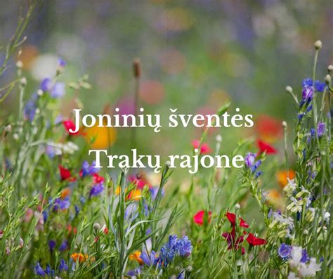 Bendruomenės šventė Trakų rajone
