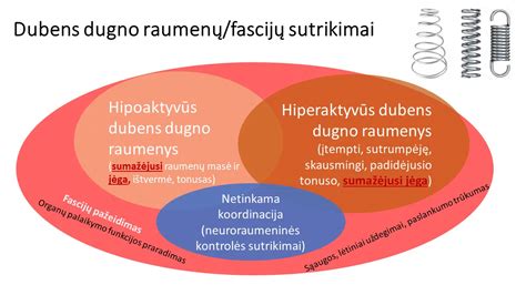 Schematinis vaizdavimas, kaip sportas veikia dubens dugno raumenis