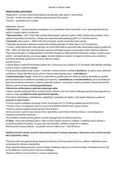 Vaisiaus raida pirmajame trimestre