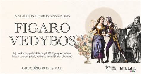 Naujosios Operos Ansamblio „Figaro vedybos“ scenos akimirka