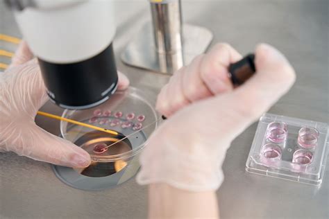 Embrionų tyrimas ir paruošimas implantacijai
