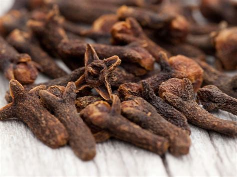 Gvazdikėlių pumpurai ir jų nauda