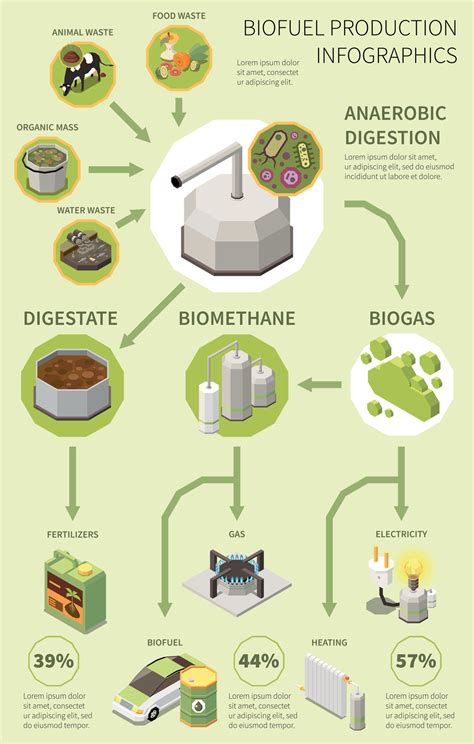 Globėjų paruošimo proceso infografika