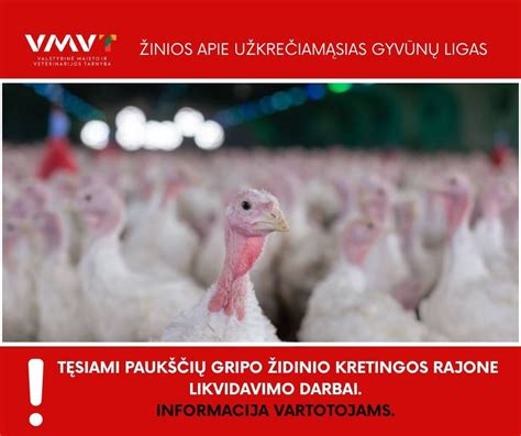 Paukščių ferma ir dezinfekcijos procesai