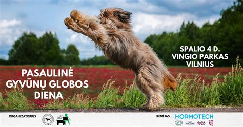Žmonės su augintiniais Vingio parke per Pasaulinę gyvūnų globos dieną