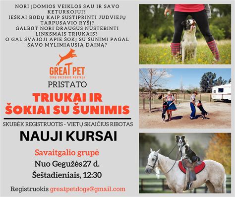 Šunų dresūros pamokos ir šokiai su šunimis
